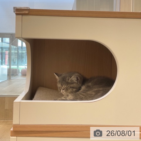 エキゾチックの写真