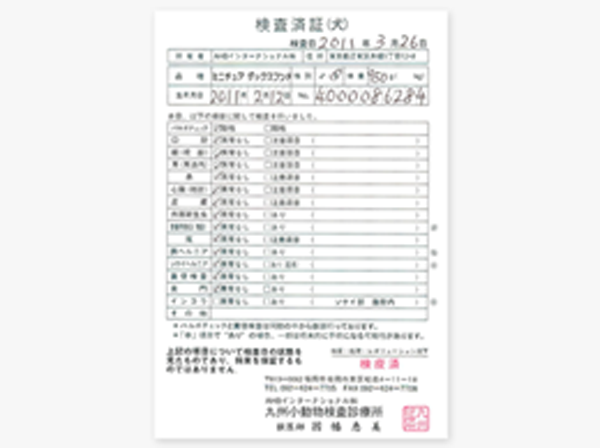 証明 書 済み 検査