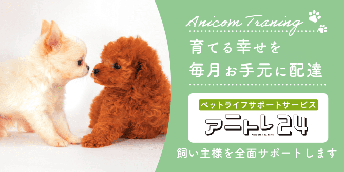 ペットプラスのオプションサービス | 子犬・子猫専門ペットショップの