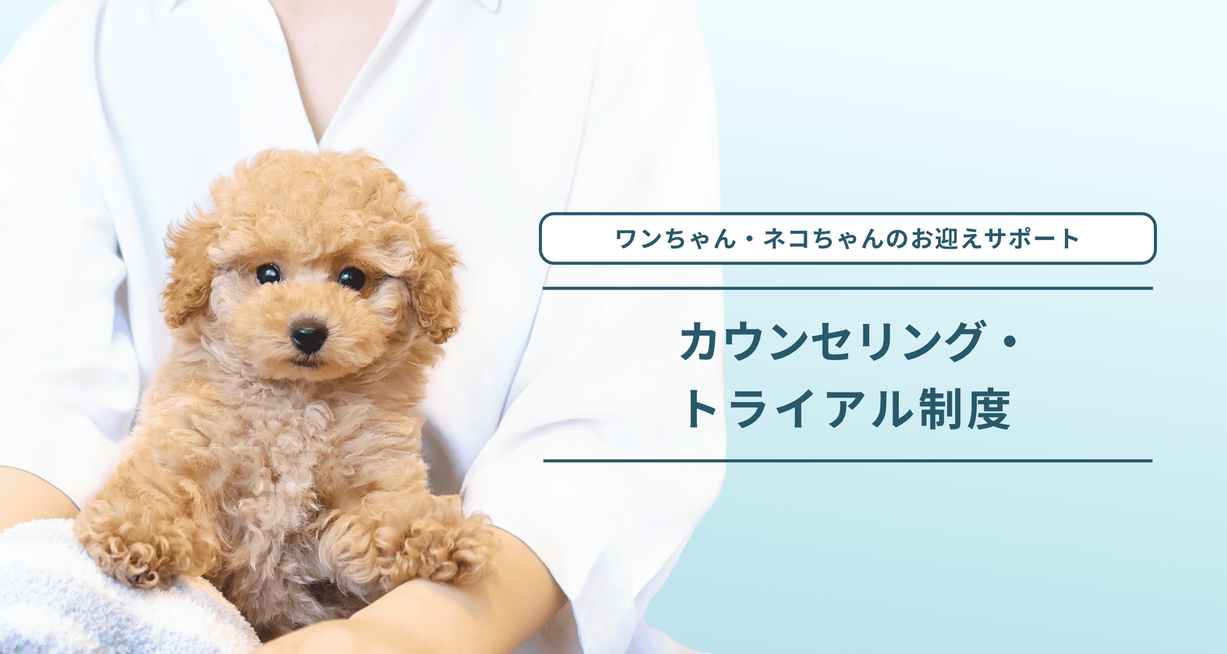 ワンちゃん・ネコちゃんのお迎えサポート カウンセリング・トライアル制度