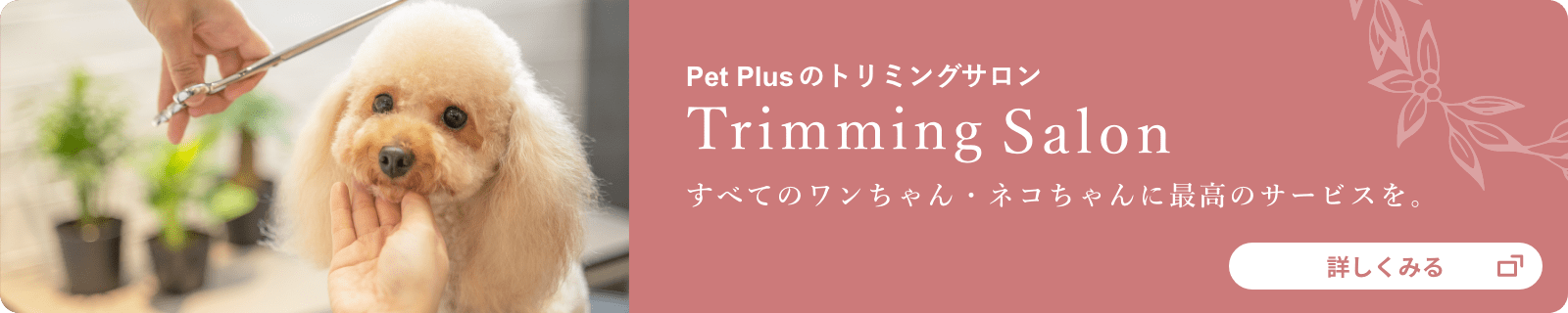 Pet PlusのトリミングサロンTrimming Salon すべてのワンちゃん・ネコちゃんに最高のサービスを。