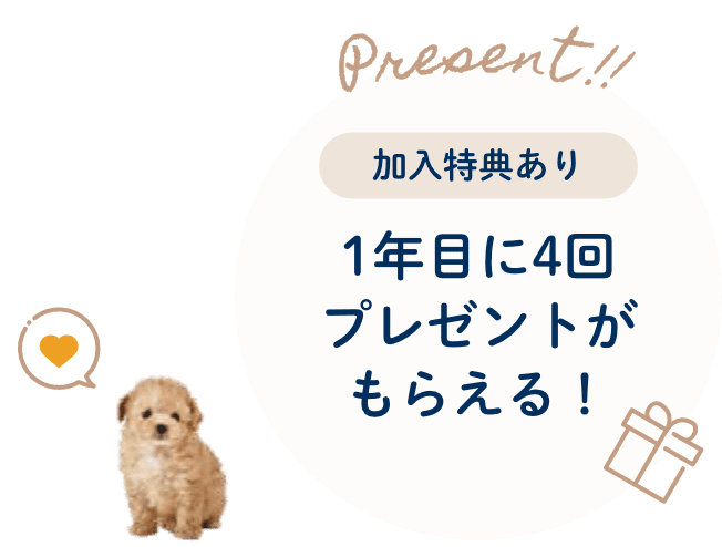 [加入特典あり]1年目に4回プレゼントがもらえる！
