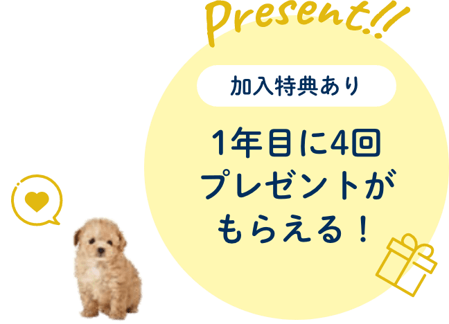 [加入特典あり]1年目に4回プレゼントがもらえる！