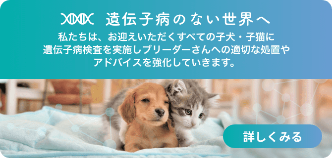 子犬 子猫専門ペットショップはpetplus ペットプラス 子犬 子猫専門ペットショップはpetplus ペットプラス