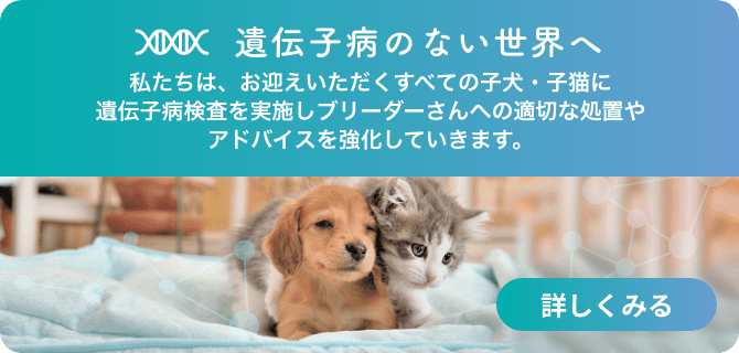 子犬 子猫専門ペットショップはpetplus ペットプラス