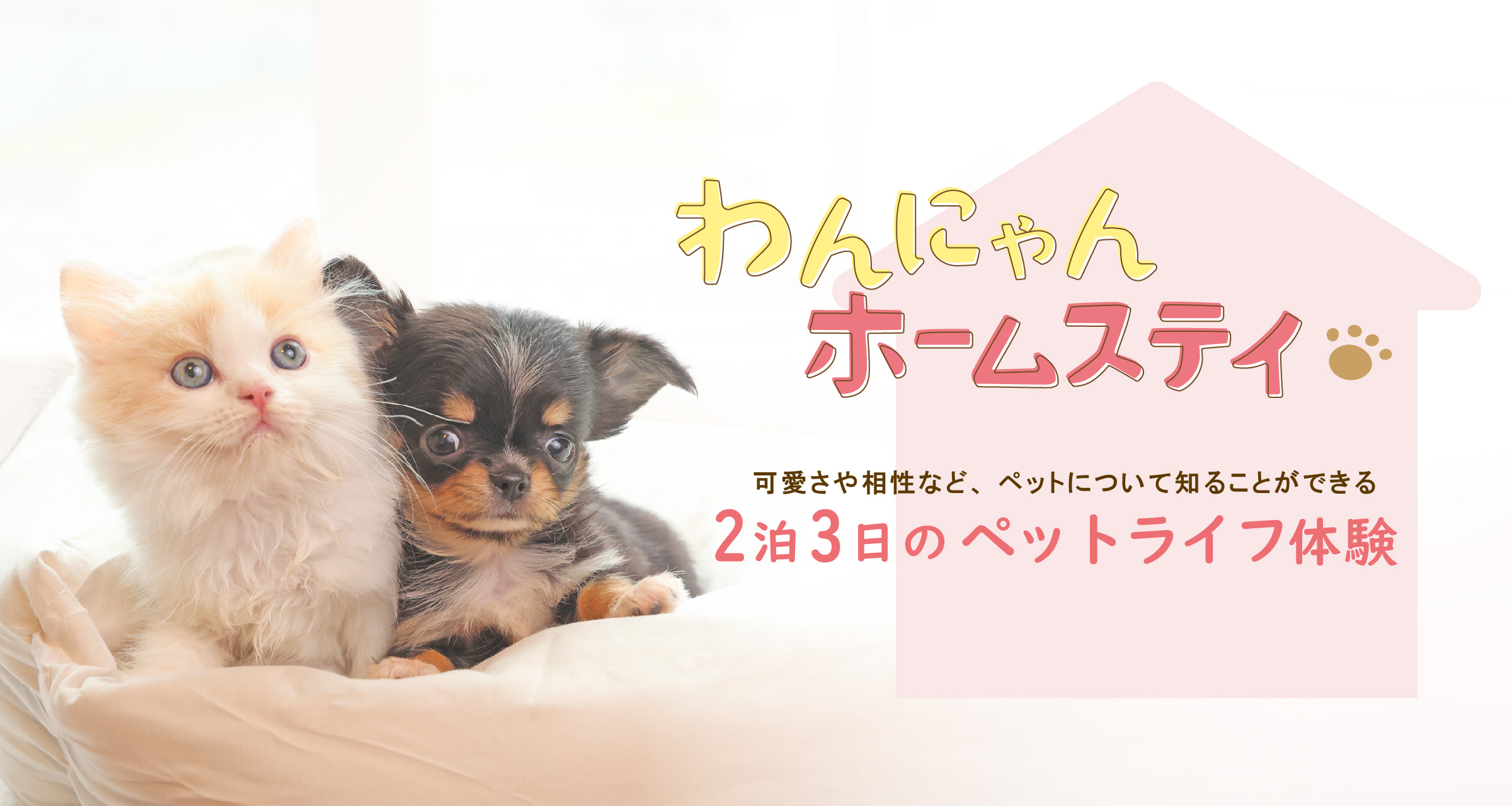 ホームステイ体験（202306）