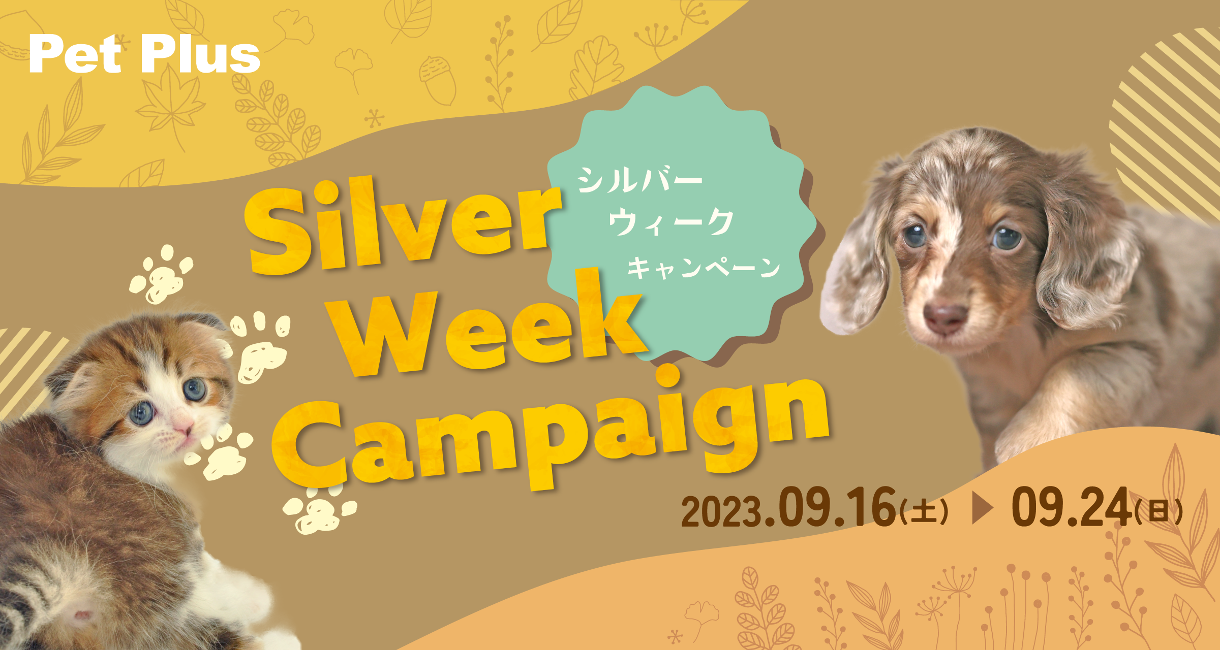 Silver Week Campaign