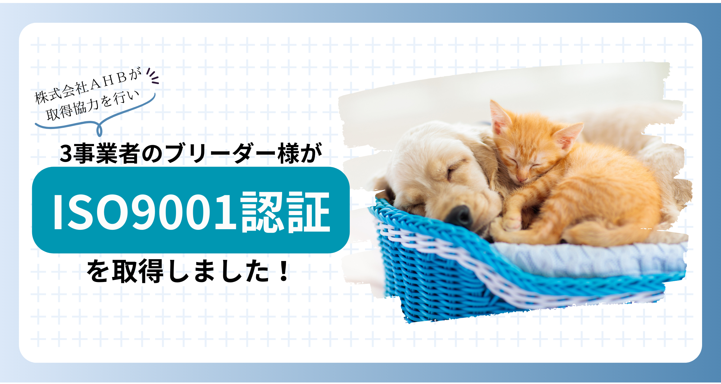 ISO9001認証取得