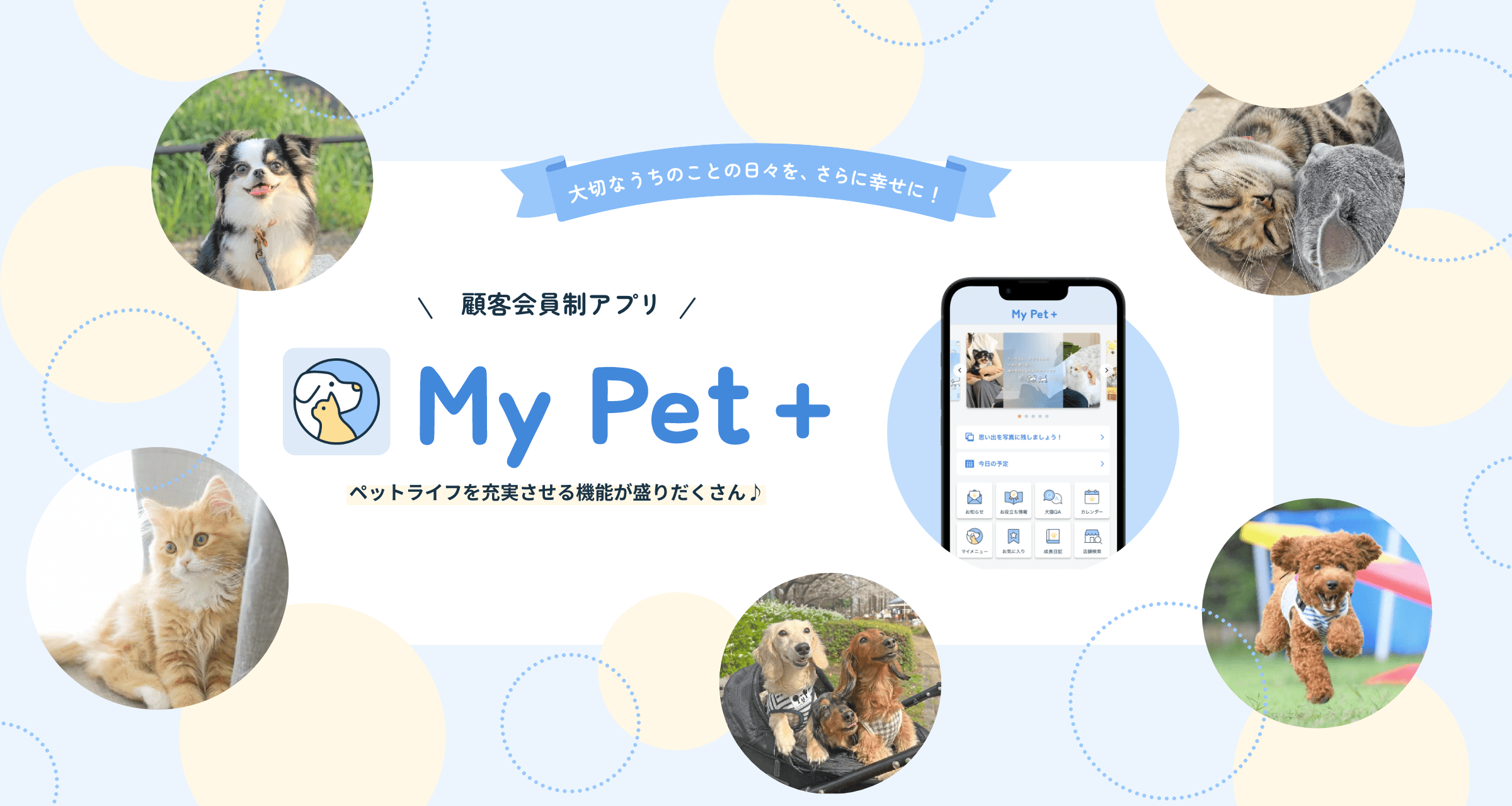 My Pet+