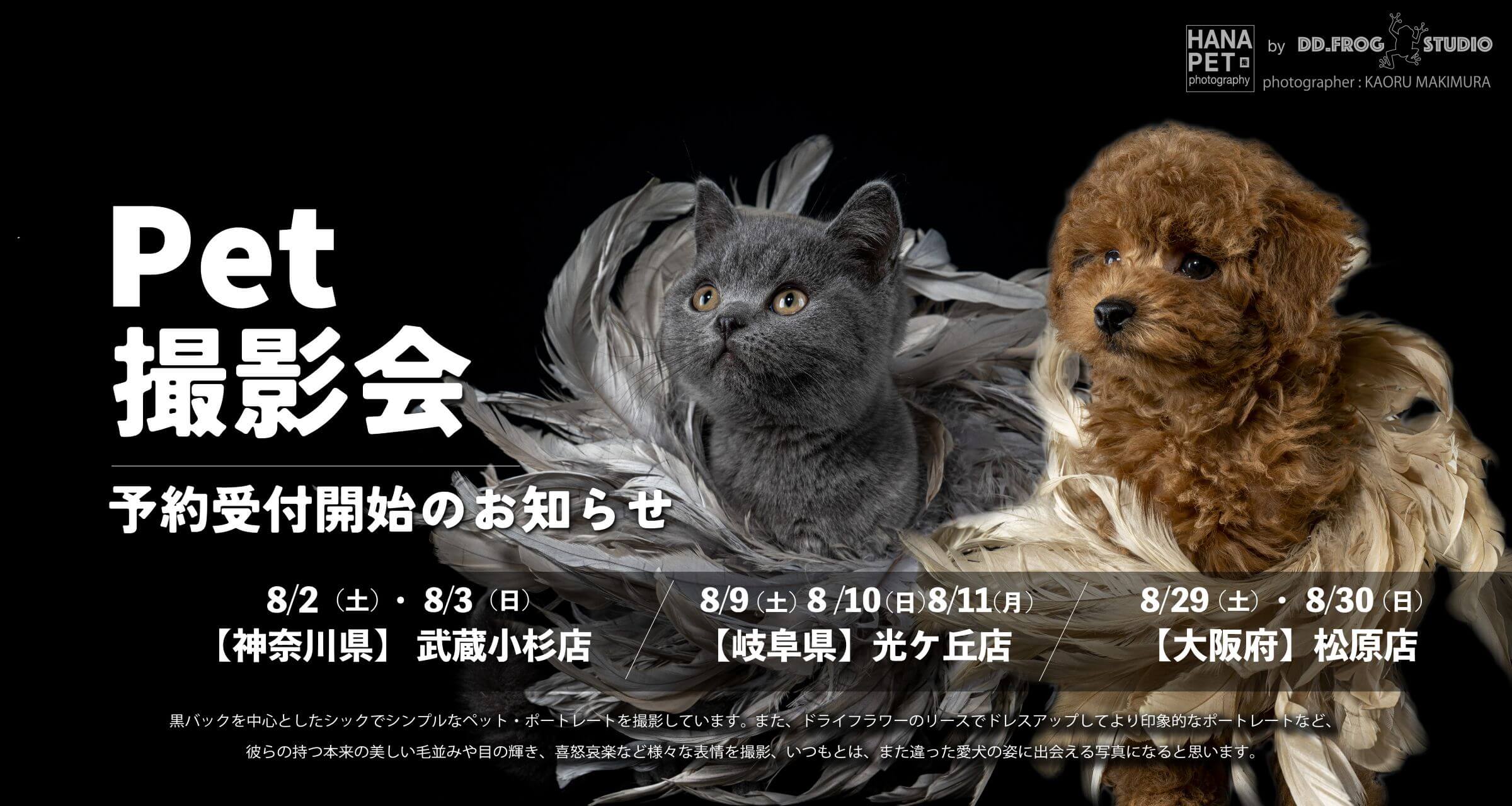 撮影会20258月