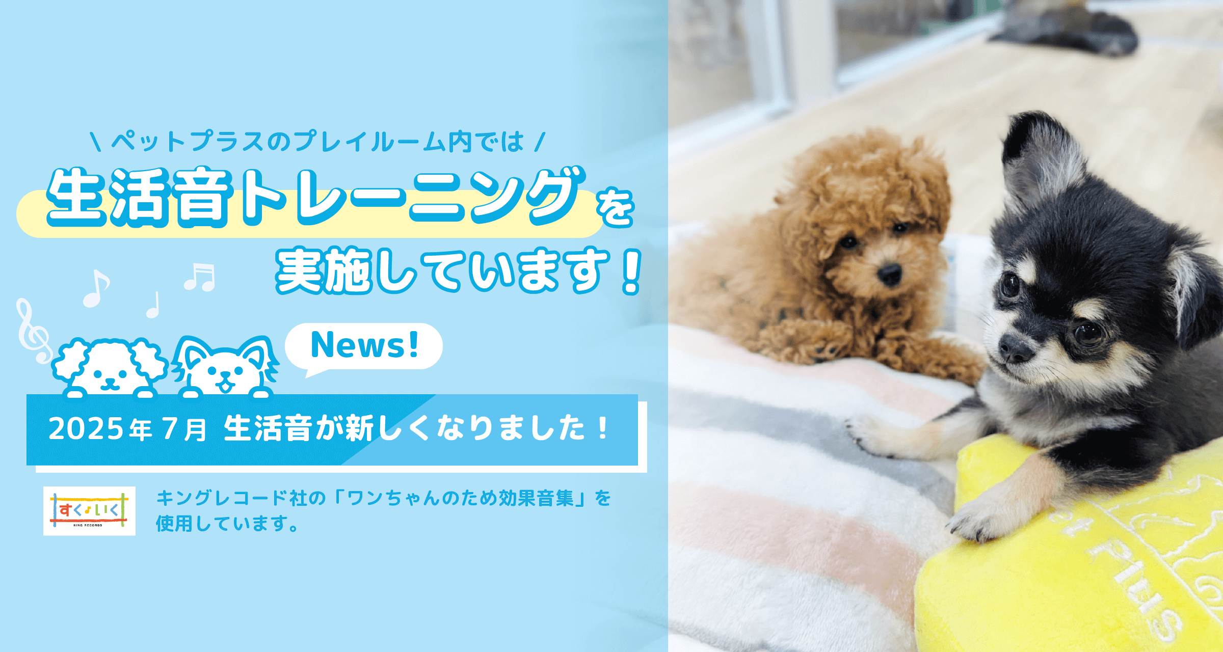生活音リニューアル