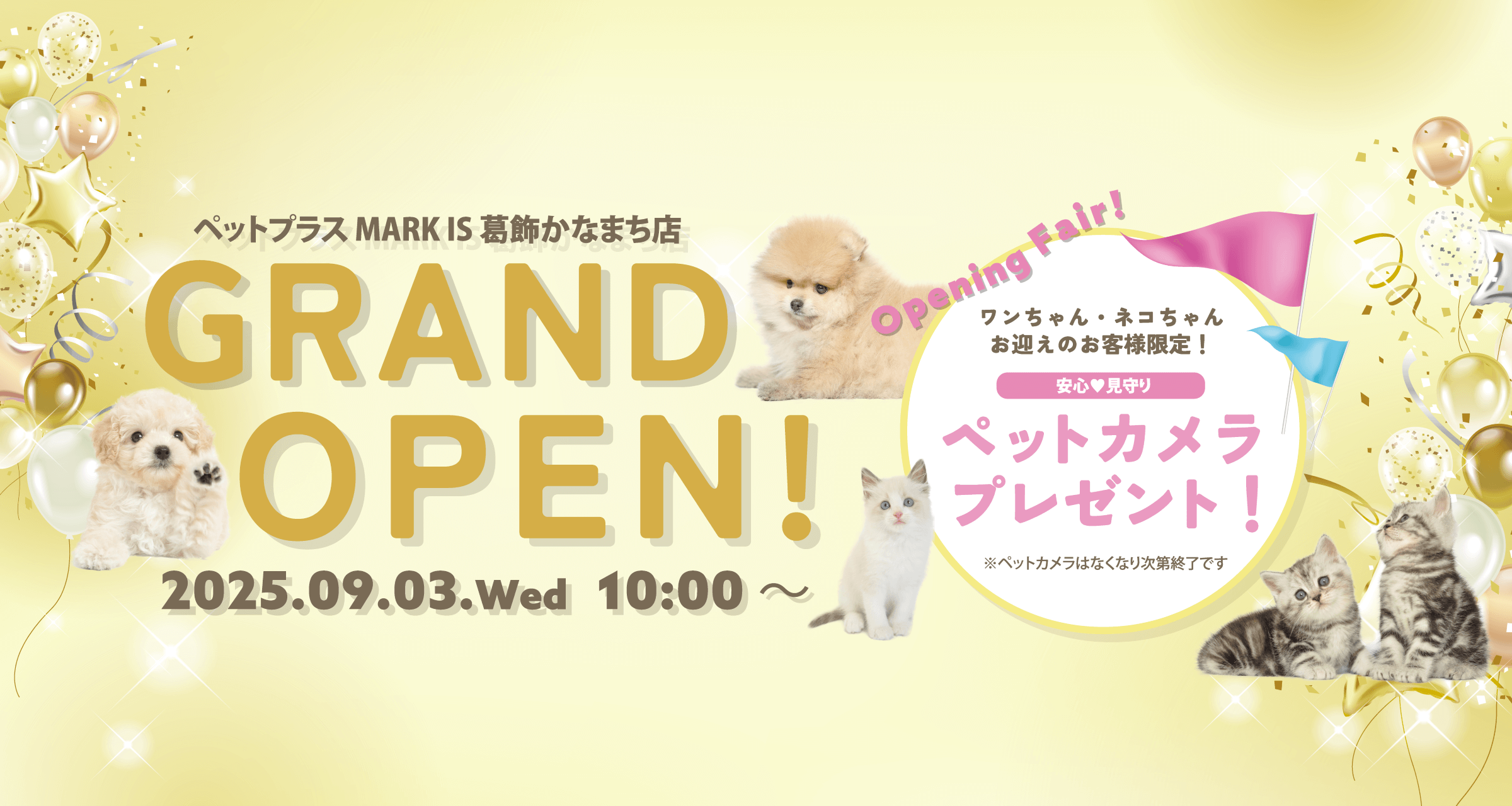 葛飾かなまち店