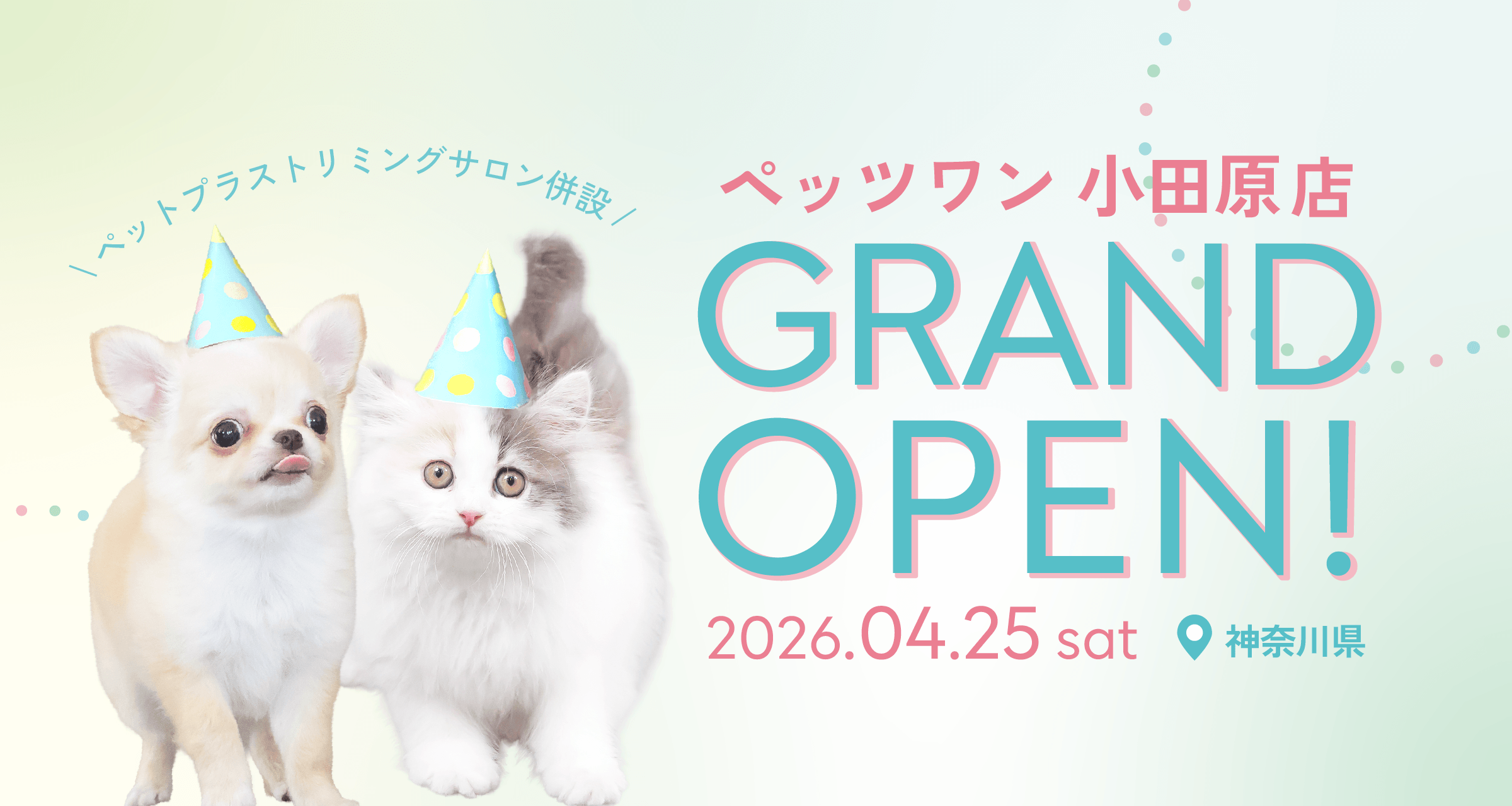 ペッツワン小田原店グランドオープン