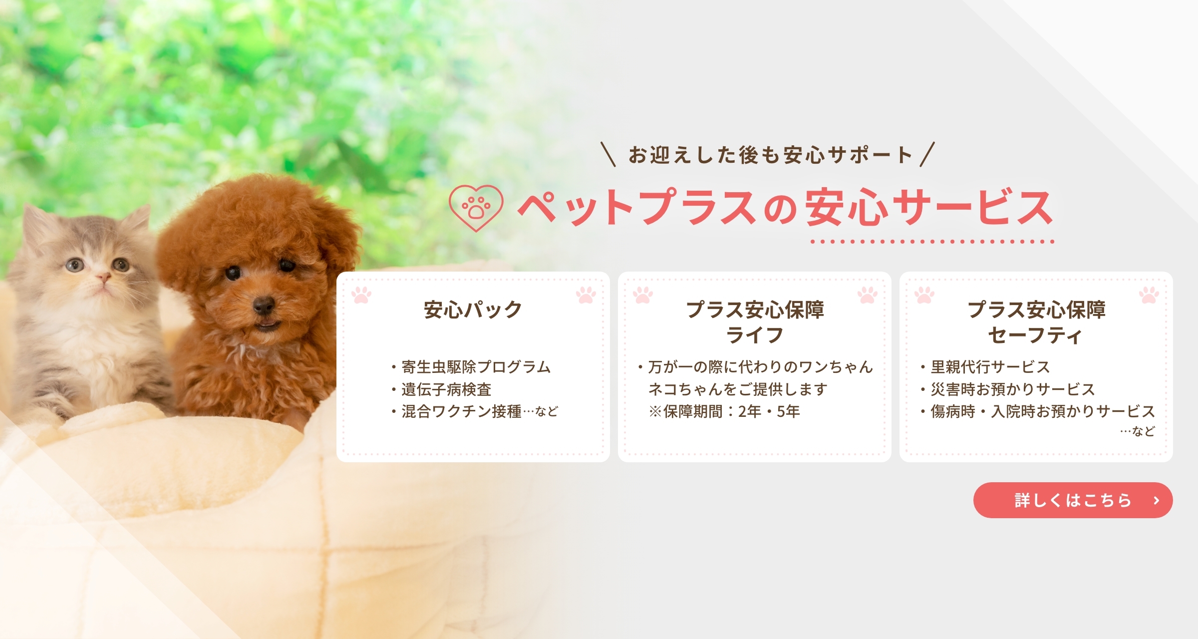 ペットプラスの安心サービス
