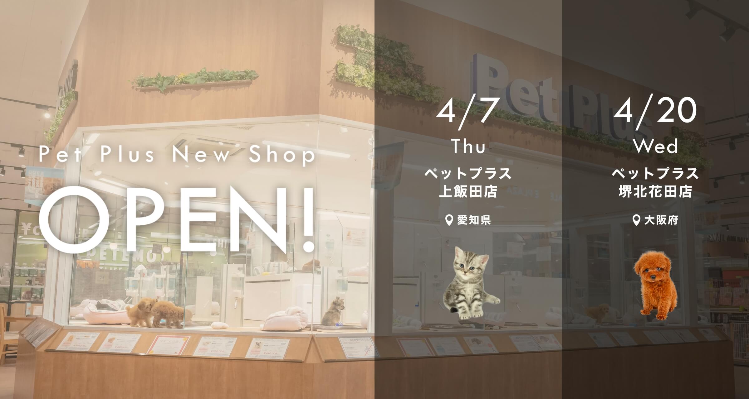 新店OPEN用： 上飯田店・堺北花田店
