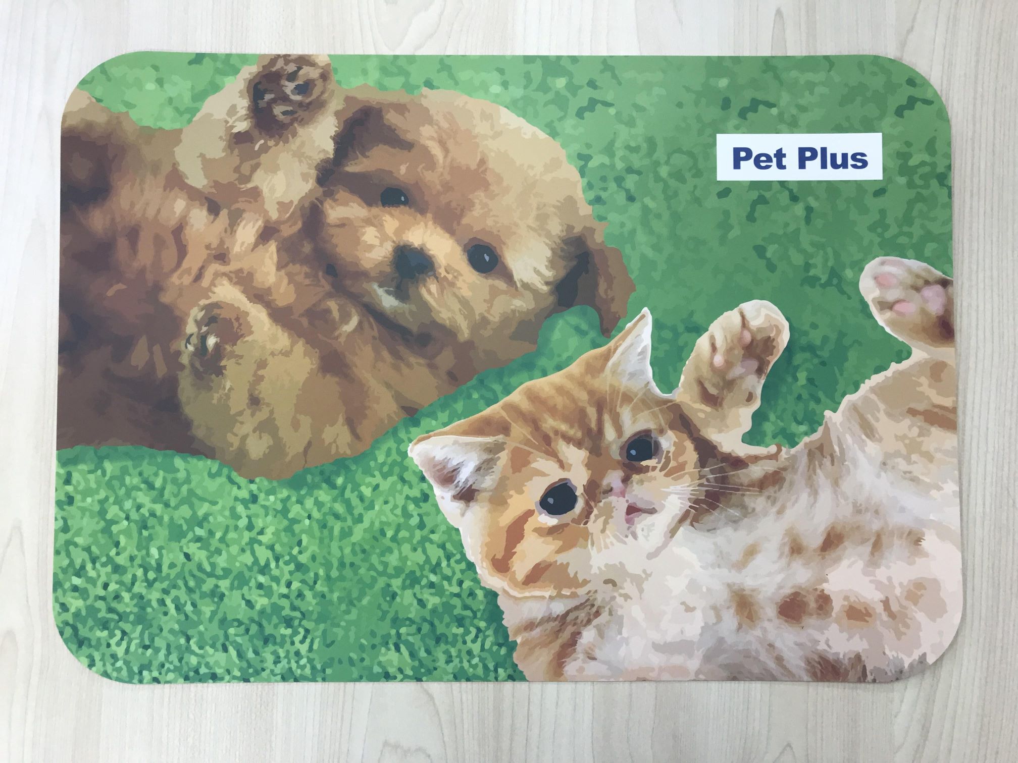 2023年7月14日（金）PetPlus上田店GRAND OPEN！ | 子犬・子猫専門