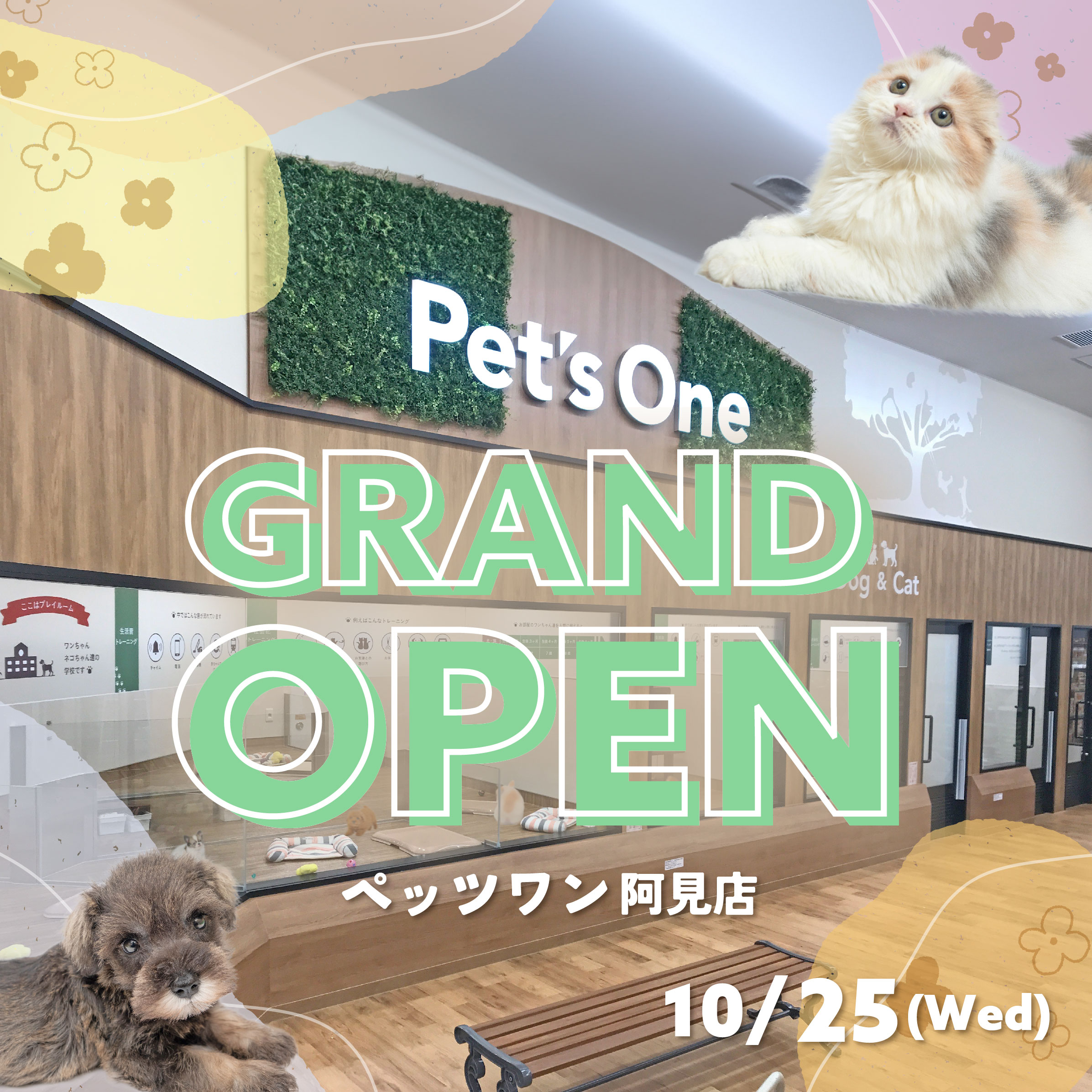 2023年10月25日(水) Pet's One阿見店 GRAND OPEN!
