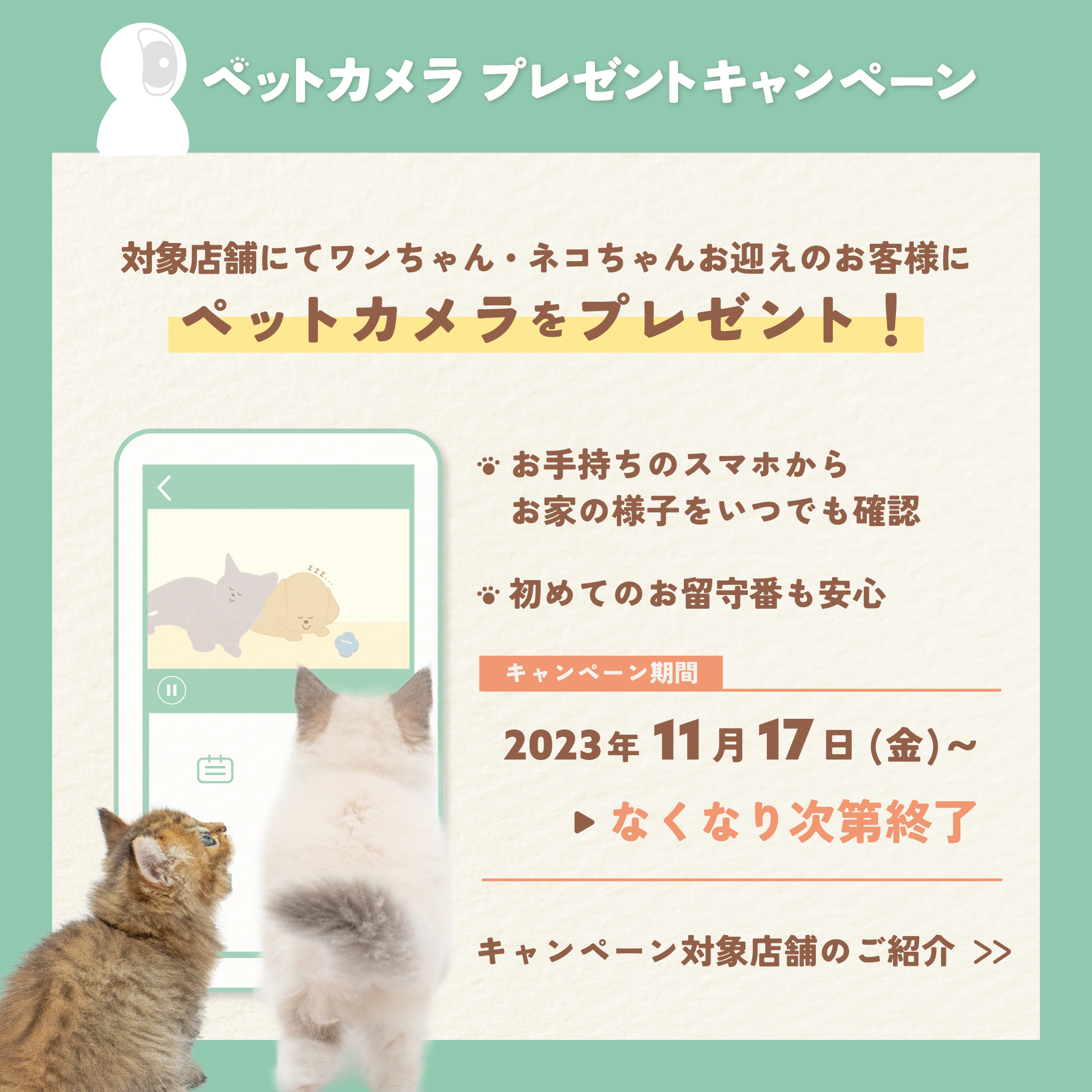 福岡県内厳選店舗限定！ペットカメラプレゼントキャンペーン開催のお知らせ