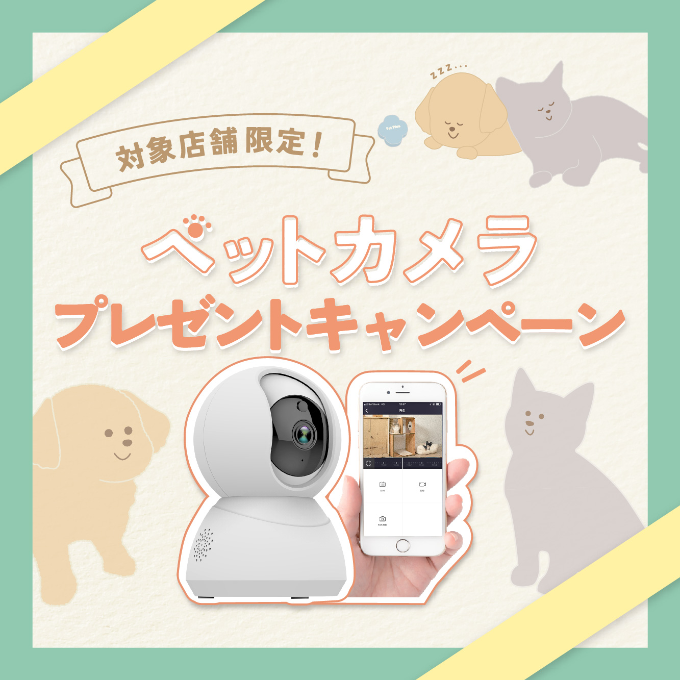 対象店舗限定！ペットカメラキャンペーン開催のお知らせ