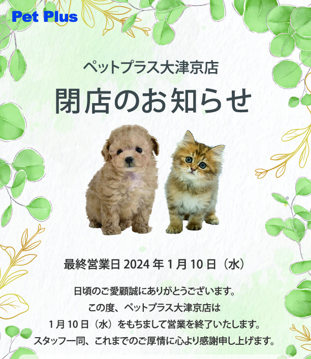 ペットプラス大津京店　閉店に伴うフェア開催のお知らせ