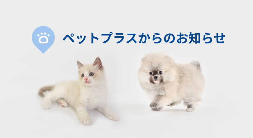 【関東甲信越】積雪による営業時間について