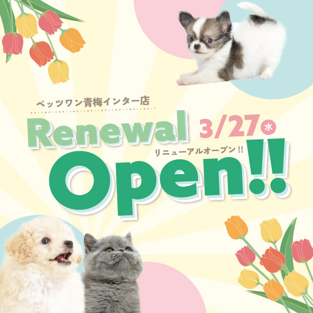 2024年3月27日(水)ペッツワン青梅インター店リニューアルオープン