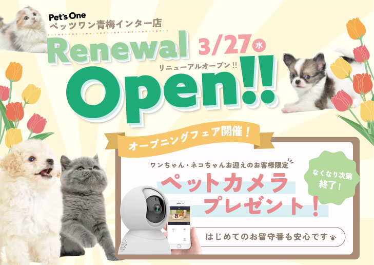 2024年3月27日(水)ペッツワン青梅インター店リニューアルオープン