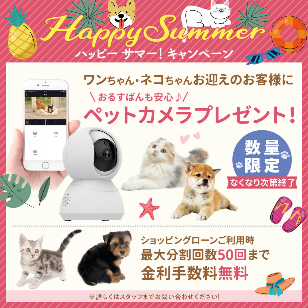 対象店舗限定！SummerFair2024開催のお知らせ