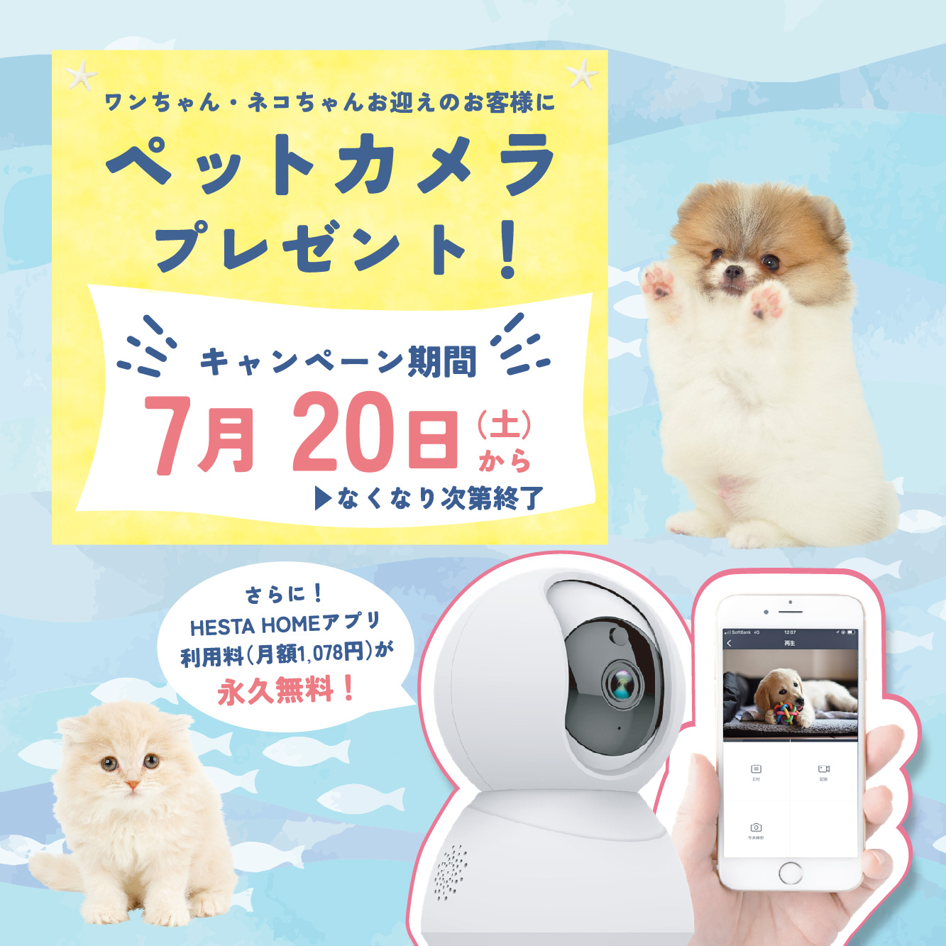2024年7月20日(土)ペットプラスアクアシティお台場店リニューアルオープン！