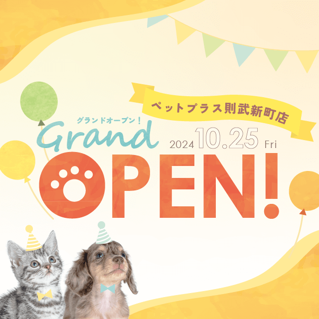 2024年10月25日(金) ペットプラス則武新町店 GRAND OPEN!