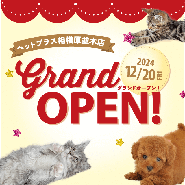 2024年12月20日(金) ペットプラス相模原並木店 GRAND OPEN!