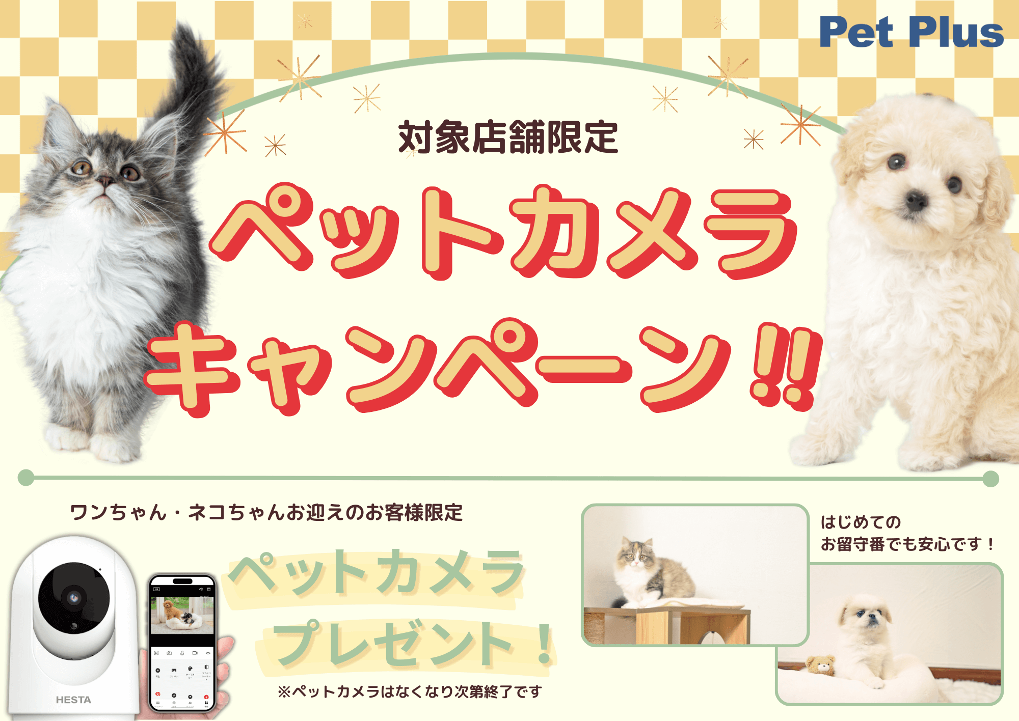 対象店舗限定！ペットカメラキャンペーン開催のお知らせ