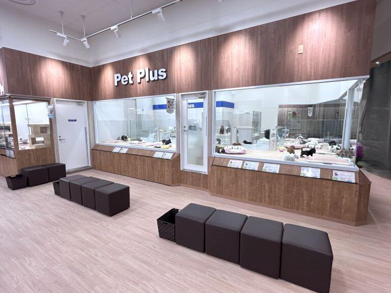 2025年3月1日(土) ペットプラス 盛岡南店  リニューアルオープン!