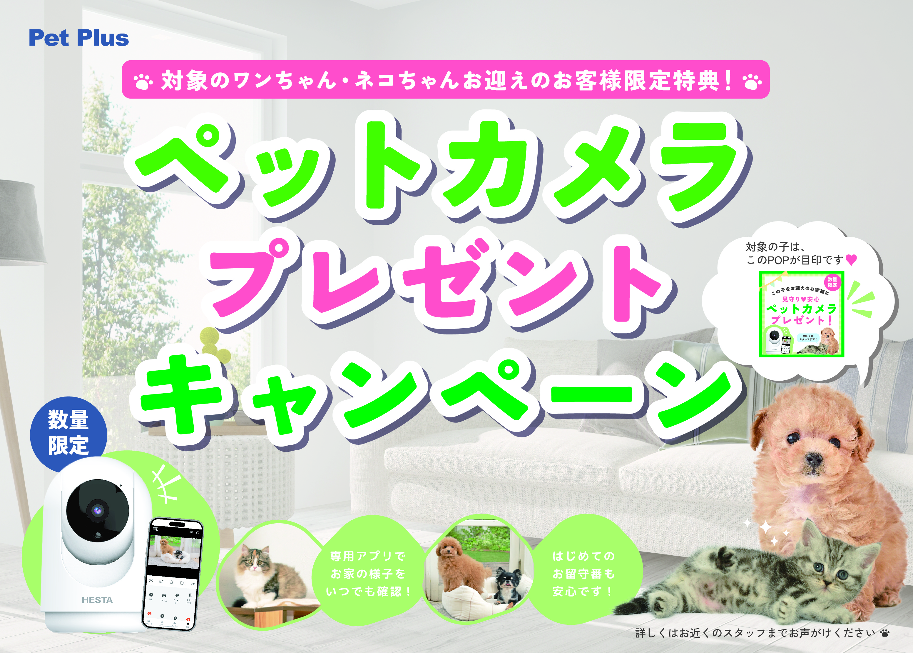 対象店舗限定！ペットカメラキャンペーン開催のお知らせ