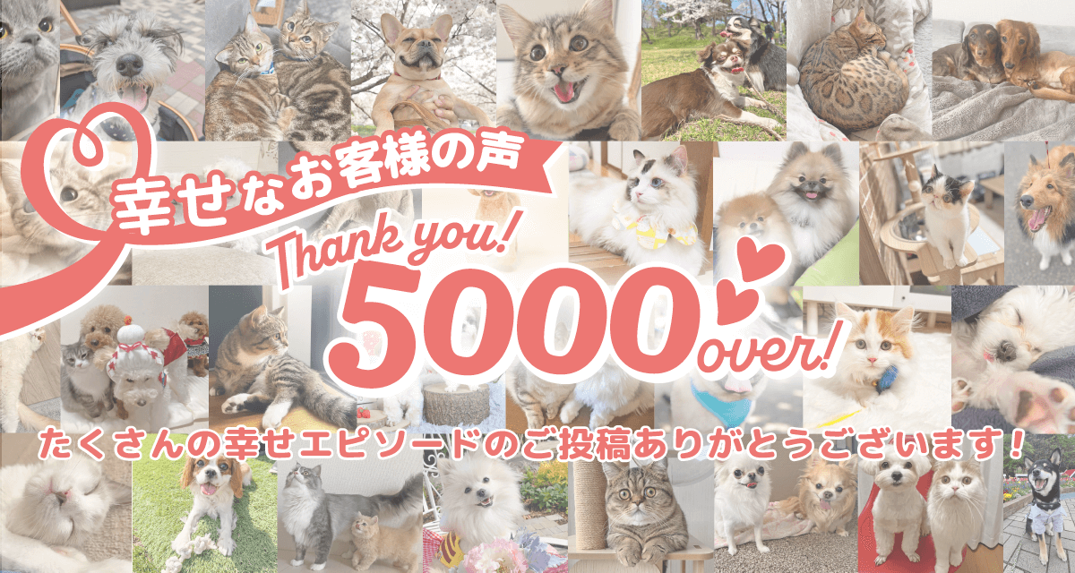 幸せなお客様の声が5000件を突破しました！