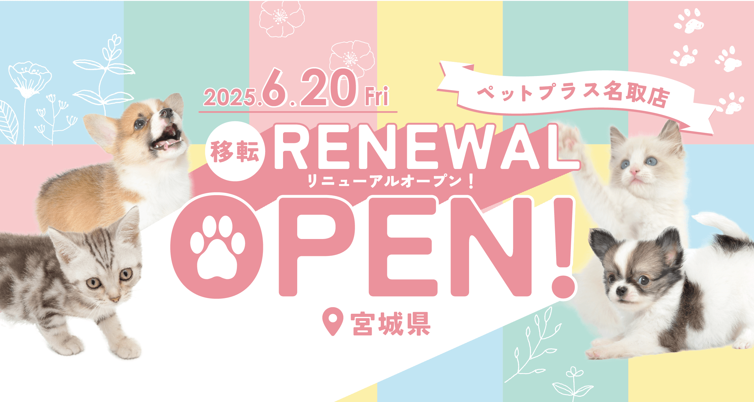 2025年6月20日(金) ペットプラス 名取店  リニューアルオープン!