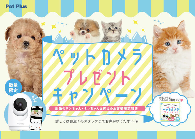【対象店舗限定】ペットカメラプレゼントキャンペーン開催のお知らせ