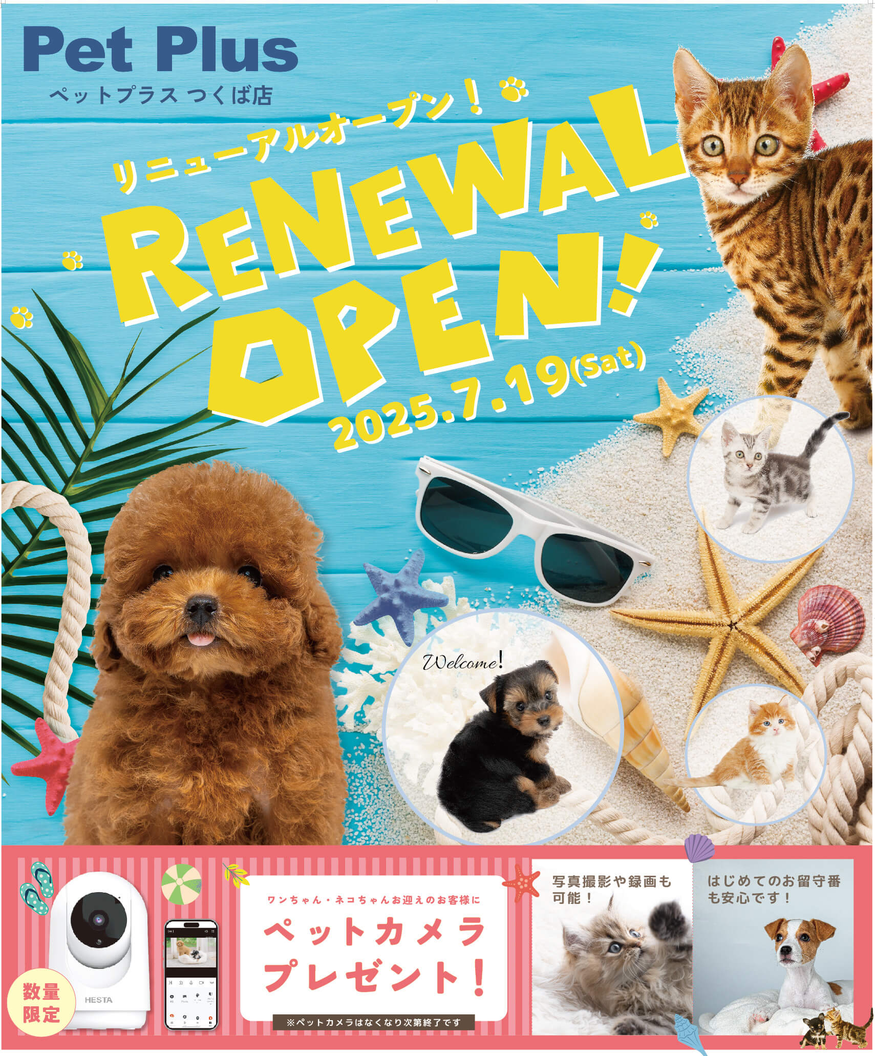 2025年7月19日(土) ペットプラス つくば店  リニューアルオープン!