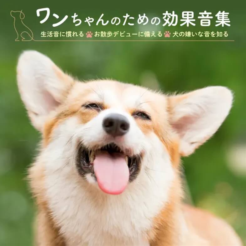 プレイルーム内の「生活音」が新しくなりました！