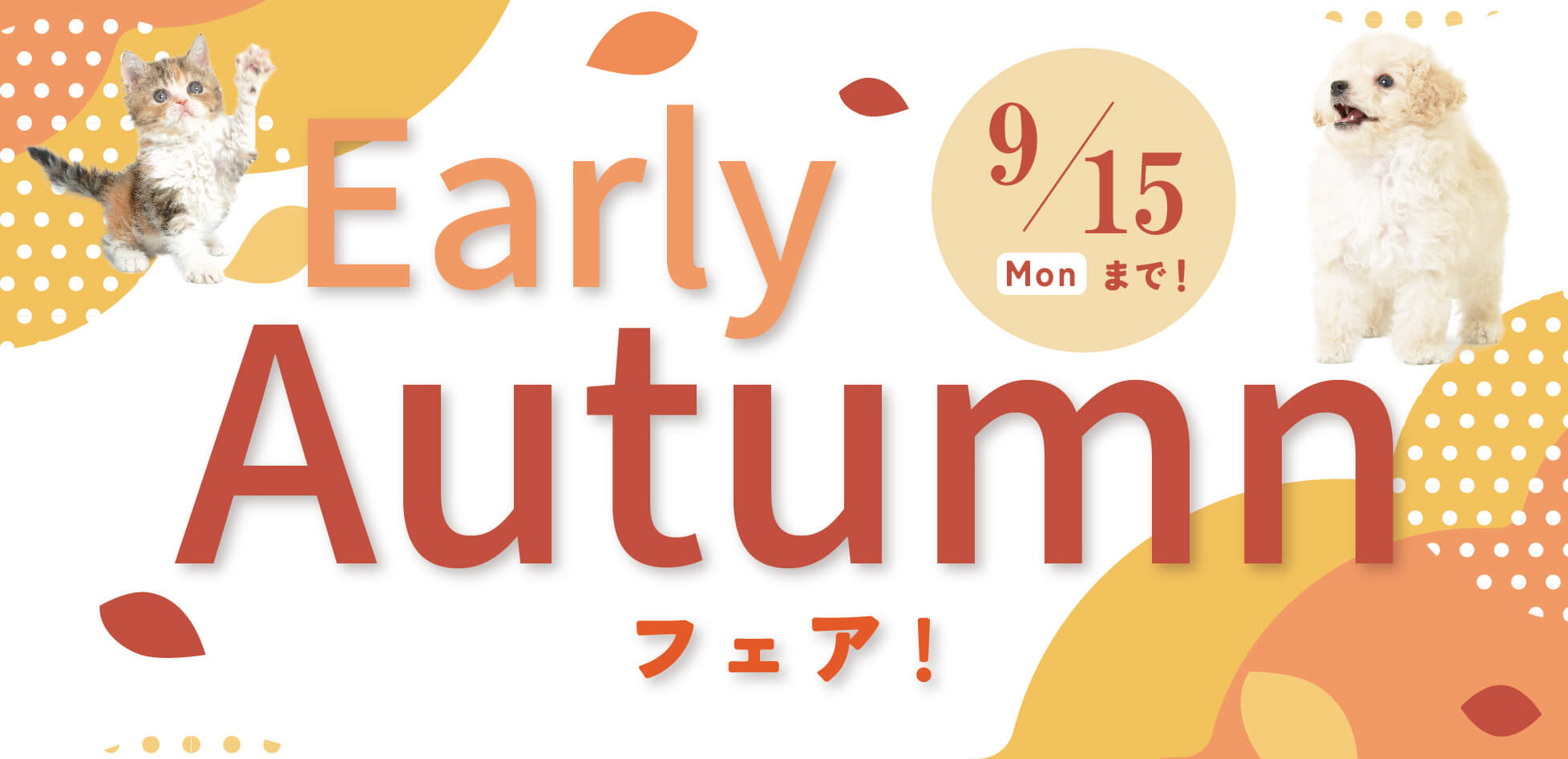 【9/15までの期間限定】Early Autumn Fair！開催のお知らせ