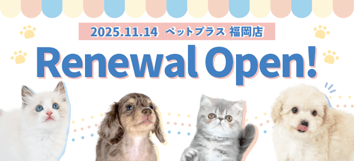 2025年11月14日(金) ペットプラス 福岡店  リニューアルオープン!