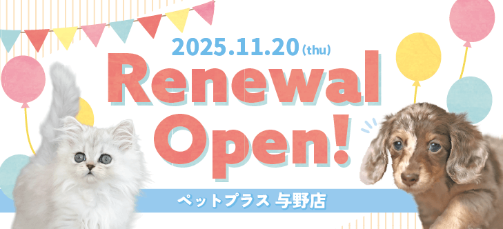 ペットプラス 与野店  リニューアルフェア開催!