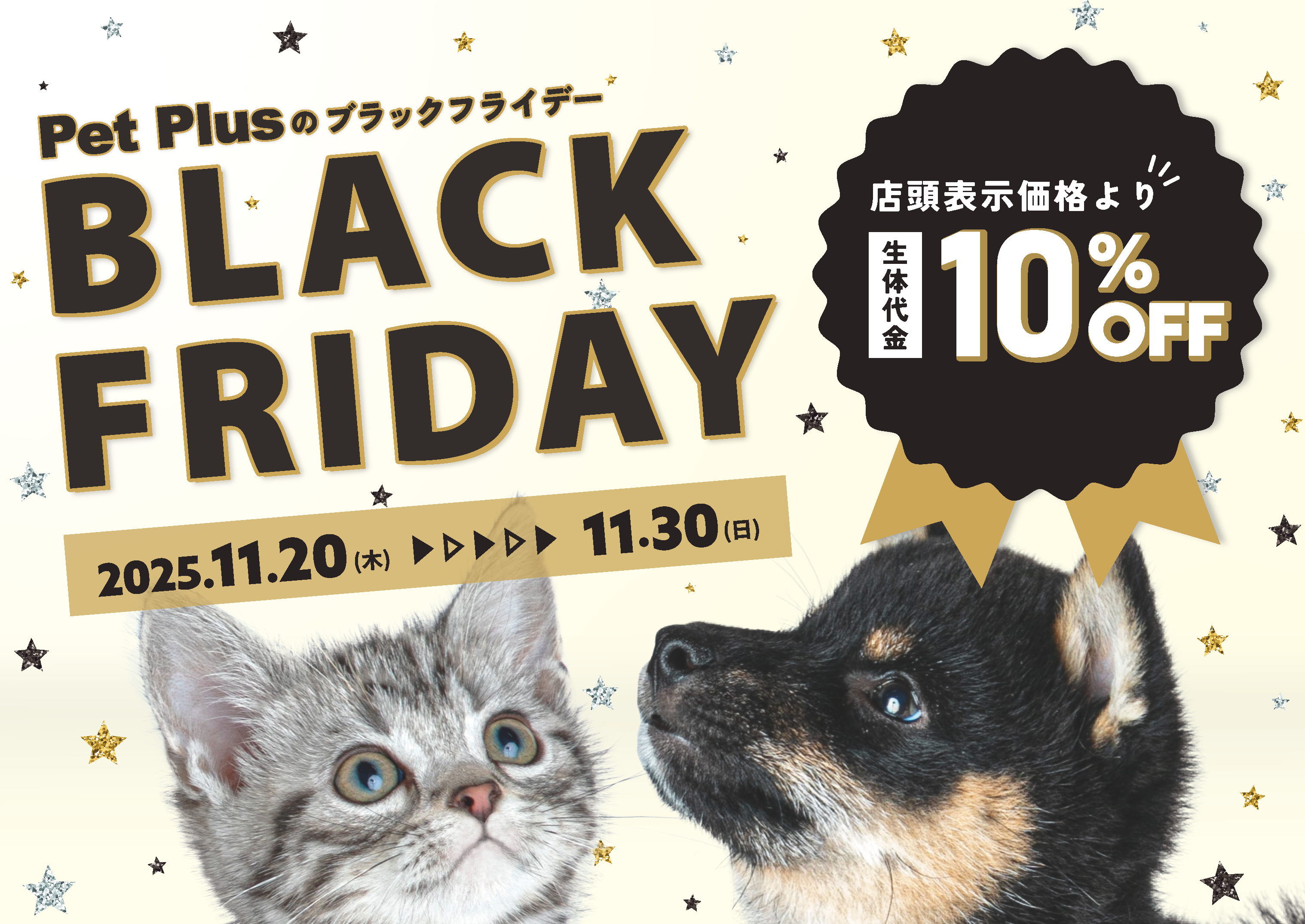 ペットプラスのブラックフライデー！