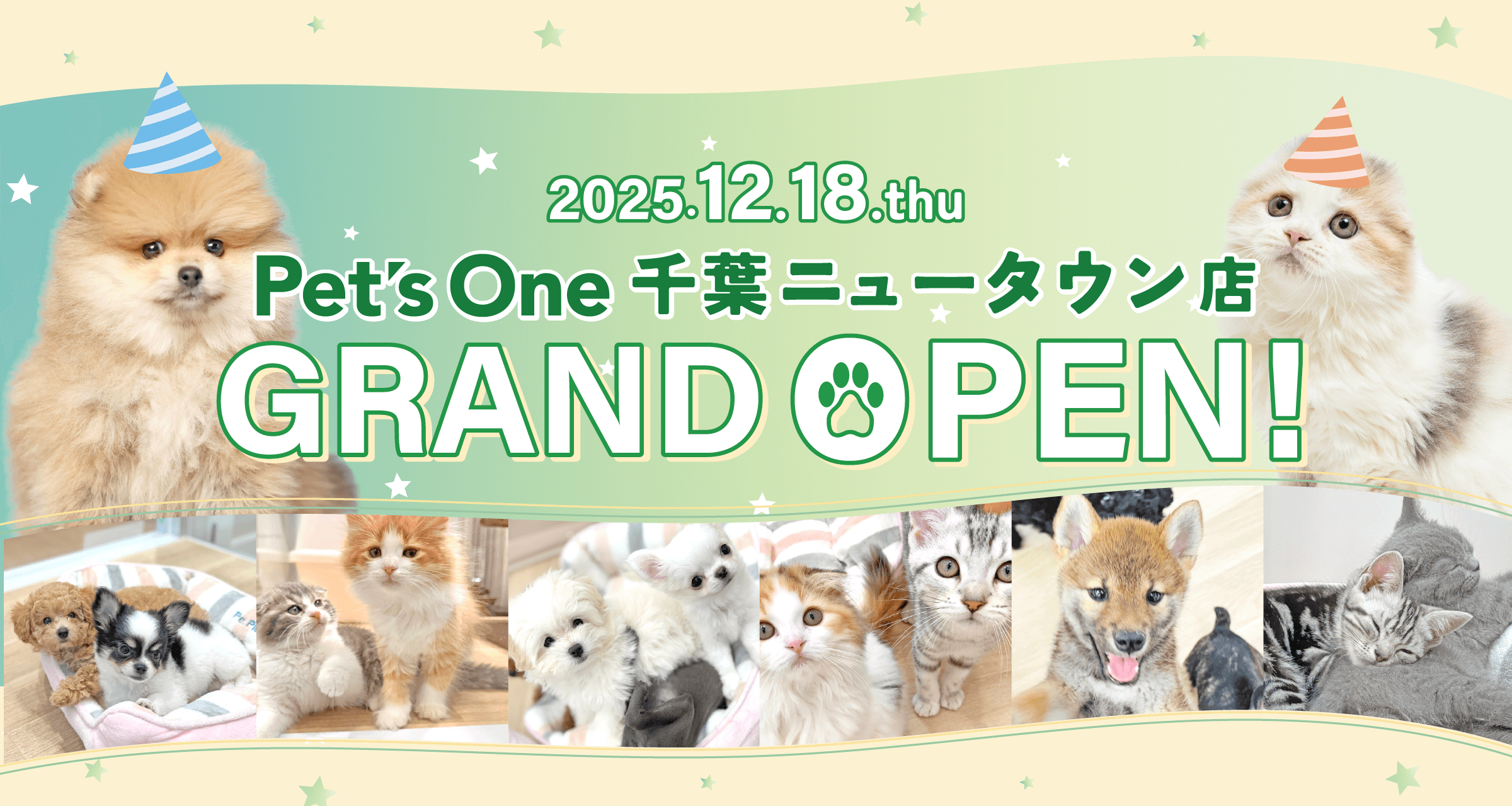 2025年12月18日(木) ペッツワン 千葉ニュータウン店 GRAND OPEN!