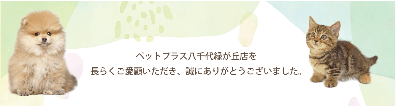 ペットプラス 八千代緑が丘店　閉店に伴うフェア開催のお知らせ