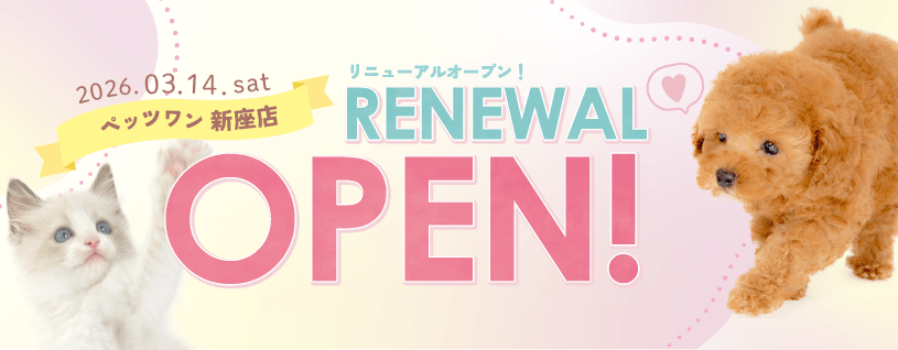 2026年3月14日(土) ペッツワン 新座店  リニューアルオープン!