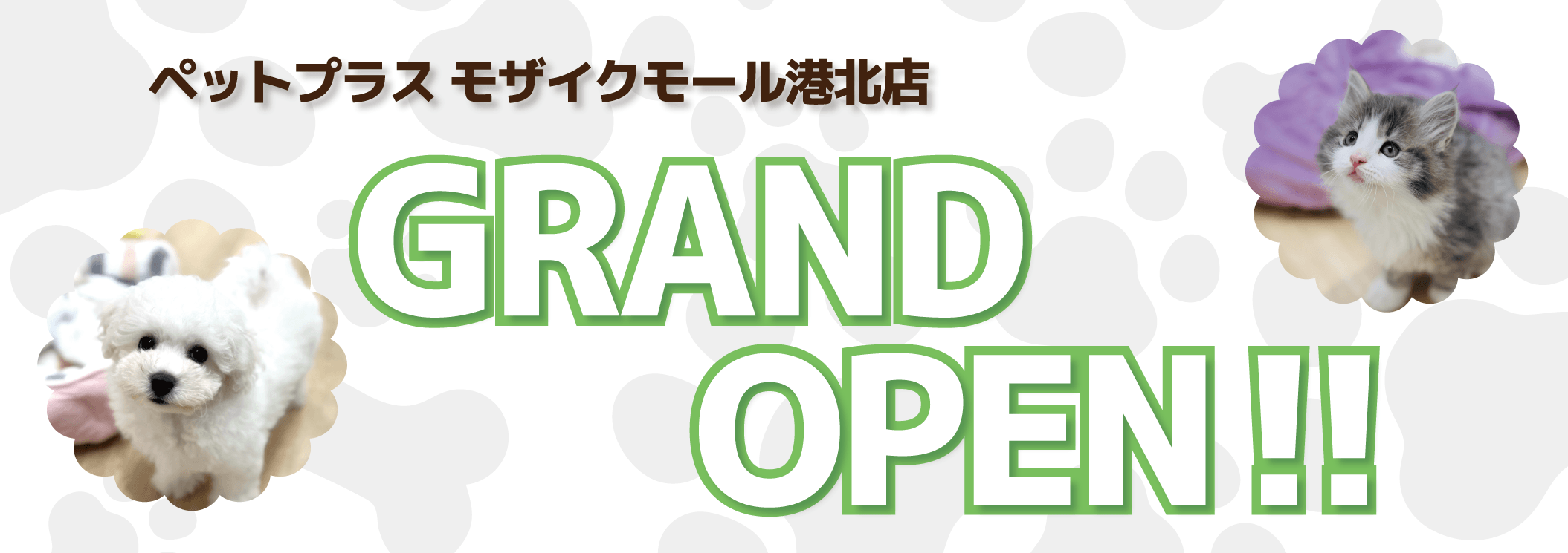 2026年3月18日(水) ペットプラス　モザイクモール港北店グランドオープン!