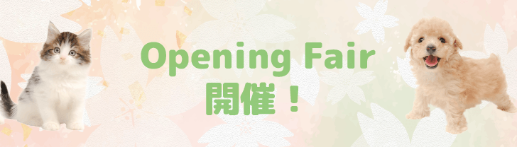 2026年3月25日(水) ペッツワン 東海店GRAND OPEN!