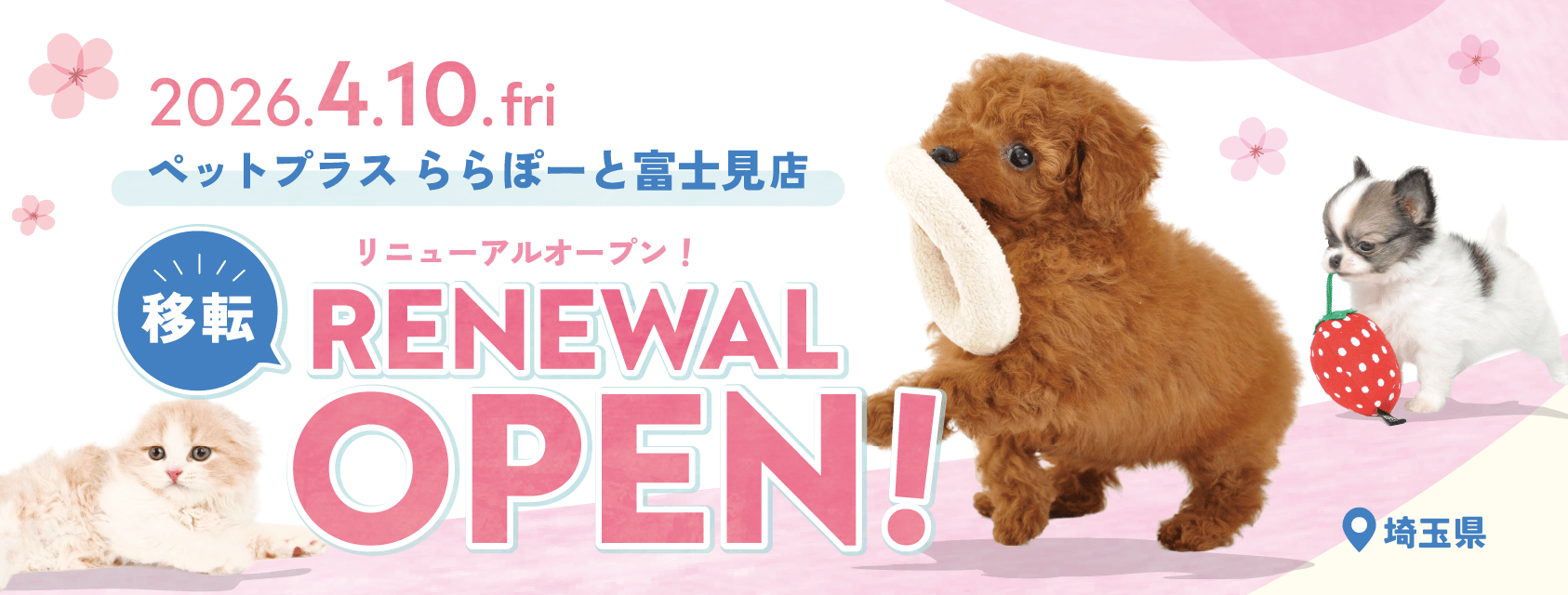 2026年4月10日(金) ペットプラス ららぽーと富士見店  リニューアルオープン!