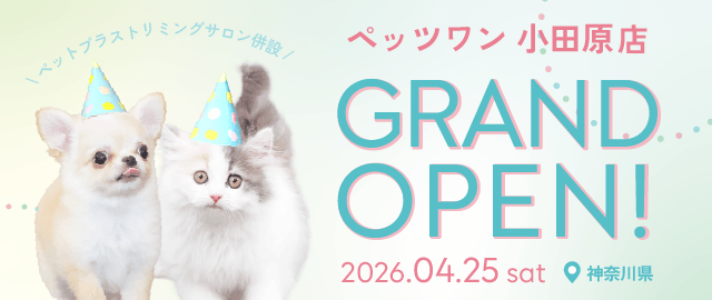 2026年4月25日(土) ペッツワン 小田原店 GRAND OPEN!